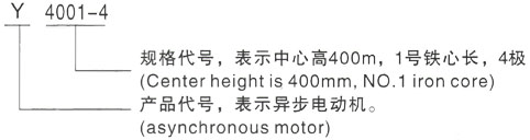 西安泰富西玛Y系列(H355-1000)高压YKS5004-2/1600KW三相异步电机型号说明