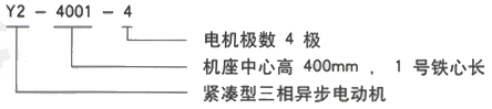 YR系列(H355-1000)高压YKS5004-2/1600KW三相异步电机西安西玛电机型号说明